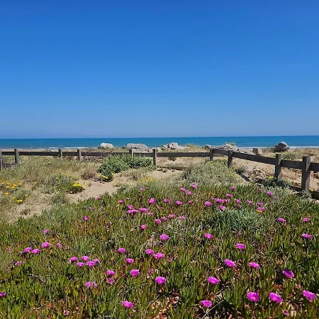 Maison Avec Acces Direct Plage, 3 Cbres Gruissan